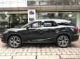 Lexus RX 2019 - Bán Lexus RX 350L 6 chỗ đời 2019, xe nhập Mỹ, giá tốt, giao ngay 