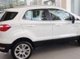 Ford EcoSport 2019 - Bán Ford EcoSport năm sản xuất 2019, màu trắng giá cạnh tranh