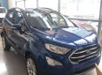 Ford EcoSport   2019 - Bán Ford EcoSport 2019, màu xanh lam, nhập khẩu, giá tốt