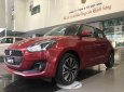 Suzuki Swift 2019 - Khuyến mãI Suzuki Swift lên đến 30 triệu 