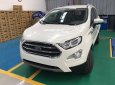 Ford EcoSport  Titanium 1.0  2019 - Cần bán Ford EcoSport Titanium 1.0 đời 2019, màu trắng, giá tốt