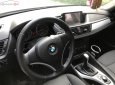 BMW X1 2011 - Bán BMW X1 đời 2011, xe nhập, chính chủ