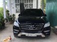 Mercedes-Benz ML Class 2012 - Cần bán Mercedes ML350 đời 2012, màu đen, xe nhập còn mới