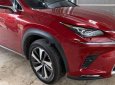 Lexus NX 30 2018 - Chính chủ bán xe Lexus NX 300 sản xuất 2018, màu đỏ