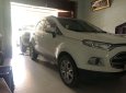Ford EcoSport 2016 - Bán Ford EcoSport năm sản xuất 2016, màu trắng, giá tốt
