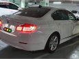 BMW 5 Series 2010 - Bán BMW 523i đời 2010, màu trắng, nhập khẩu