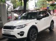 LandRover Discovery Sport 2015 - Bán ô tô LandRover Discovery Sport đời 2015, hai màu, nhập khẩu chính chủ