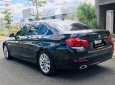 BMW 5 Series 2017 - Cần bán BMW 5 Series đời 2017, màu đen, xe nhập chính chủ