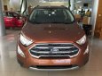 Ford EcoSport     2019 - Bán xe Ford EcoSport đời 2019, màu nâu