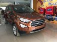 Ford EcoSport     2019 - Bán xe Ford EcoSport đời 2019, màu nâu