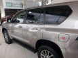 Toyota Land Cruiser 2019 - Cần bán xe Toyota Land Cruiser năm sản xuất 2019, nhập khẩu