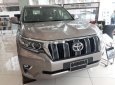 Toyota Land Cruiser 2019 - Cần bán xe Toyota Land Cruiser năm sản xuất 2019, nhập khẩu