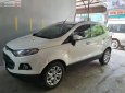 Ford EcoSport Titanium 2016 - Chính chủ bán Ford EcoSport Titanium đời 2016, màu trắng, nhập khẩu