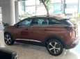 Peugeot 3008 2019 - Bán Peugeot 3008 sản xuất 2019, màu nâu