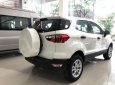 Ford EcoSport Ambiente AT 2019 - Cần bán xe Ford EcoSport Ambiente AT sản xuất năm 2019, màu trắng