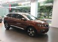 Peugeot 3008 2019 - Bán Peugeot 3008 sản xuất 2019, màu nâu