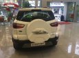 Ford EcoSport 2019 - Bán Ford EcoSport Titanium 1.5L AT sản xuất năm 2019, màu trắng