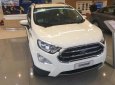 Ford EcoSport 2019 - Bán Ford EcoSport Titanium 1.5L AT sản xuất năm 2019, màu trắng