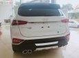 Hyundai Santa Fe 2019 - Bán xe Hyundai Santa Fe Premium 2.2L HTRAC sản xuất năm 2019, màu trắng