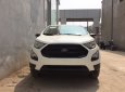Ford EcoSport Ambiente 4x2 MT 2019 - Bán ô tô Ford EcoSport Ambiente 4x2 MT sản xuất 2019
