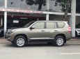 Toyota Land Cruiser Prado 2017 - Cần bán lại xe Toyota Land Cruiser Prado đời 2017, nhập khẩu chính hãng