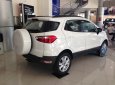 Ford EcoSport Trend 1.5L AT 2019 - Bán Ford EcoSport Trend 1.5L AT 2019 đủ màu giao ngay. Hỗ trợ vay tới 80%