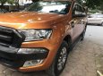 Ford Ranger 2016 - Bán Ford Ranger Wildtrak 2016 3.2 AT đời 2016, xe nhập