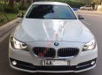 BMW 5 Series 2016 - Bán BMW 5 Series 520i năm 2016, màu trắng chính chủ