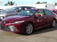 Toyota Camry 2019 - Bán Toyota Camry 2019, màu đỏ, nhập khẩu