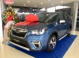 Subaru Forester 2019 - Bán Subaru Forester đời 2019, nhập Nhật