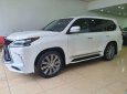 Lexus LX 570 2016 - Bán Lexus LX570 Trung đông sản xuất 2016, đăng ký T1/2019 siêu mới 99,999% 