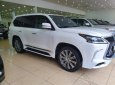 Lexus LX 570 2016 - Bán Lexus LX570 Trung đông sản xuất 2016, đăng ký T1/2019 siêu mới 99,999% 