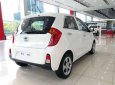 Kia Morning 2019 - Bán ô tô Kia Morning năm 2019, màu trắng rẻ nhất Hà Nội