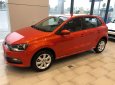 Volkswagen Polo 2019 - (Sale Shock) xe Đức nhập 100% - Polo đủ màu - bền bỉ, lái êm ái, đầm chắc - cảm nhận mặt đường tốt bao bank 90%