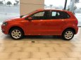 Volkswagen Polo 2019 - (Sale Shock) xe Đức nhập 100% - Polo đủ màu - bền bỉ, lái êm ái, đầm chắc - cảm nhận mặt đường tốt bao bank 90%