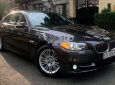 BMW 5 Series  520i   2014 - Cần bán gấp BMW 5 Series 520i sản xuất 2014, nhập khẩu nguyên chiếc