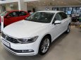 Volkswagen Passat 2019 - Sedan cho doanh nhân (nhập Đức) - Volkswagen Passat 2019 - ưu đãi lớn 2019