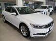 Volkswagen Passat 2019 - Sedan cho doanh nhân (nhập Đức) - Volkswagen Passat 2019 - ưu đãi lớn 2019