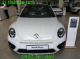 Volkswagen Beetle 2018 - Hàng hiếm cực chất của Đức - Volkswagen Beetle Dune - chỉ còn 2 chiếc tại Việt Nam