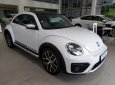 Volkswagen Beetle 2018 - Hàng hiếm cực chất của Đức - Volkswagen Beetle Dune - chỉ còn 2 chiếc tại Việt Nam