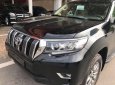 Toyota Prado VX 2019 - Bán ô tô Toyota Prado VX đời 2019, xe nhập