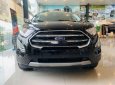 Ford EcoSport   2019 - Bán xe Ford EcoSport sản xuất năm 2019, màu đen, 515tr