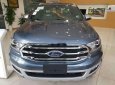 Ford Everest   2019 - Bán Ford Everest đời 2019, màu xanh lam, nhập khẩu