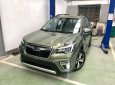 Subaru Forester   2019 - Bán Subaru Forester 2019, nhập khẩu nguyên chiếc, giá chỉ 960 triệu