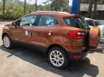 Ford EcoSport   2019 - Cần bán xe Ford EcoSport sản xuất 2019, màu nâu