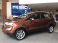 Ford EcoSport   2019 - Cần bán xe Ford EcoSport sản xuất 2019, màu nâu