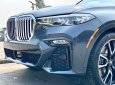 BMW BMW khác X7 xDrive40i  2019 - Cần bán BMW  X7 xDrive40i 2019, màu xám, nhập khẩu