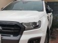 Ford Ranger 2018 - Bán Ford Ranger Wildtrak 2.0 4x4 2018, màu trắng, nhập khẩu chính chủ