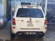 Ford Escape   2003 - Cần bán Ford Escape năm 2003, màu trắng, chính chủ, 195 triệu