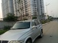 Ssangyong Musso 2004 - Cần bán xe Ssangyong Musso đời 2004, màu bạc, nhập khẩu chính hãng